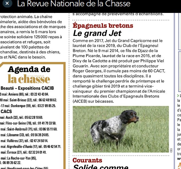 du grand capricorne - Jet a l'honneur dans la revue Nationale de la chasse